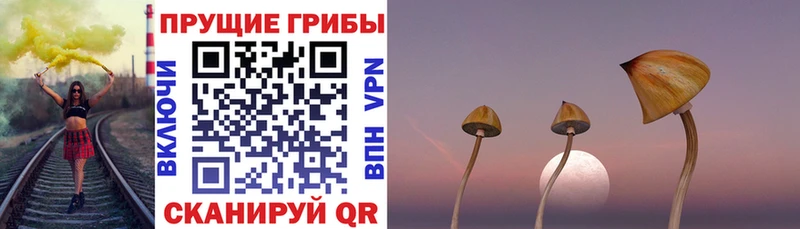 Галлюциногенные грибы MAGIC MUSHROOMS  Ардон 